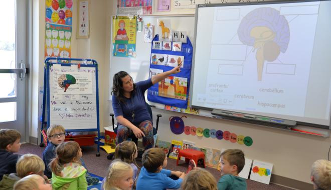 teacher showing a brain illustration